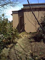 girrafe.JPG (18291 bytes)